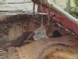 Cyclone Death Toll 28,000