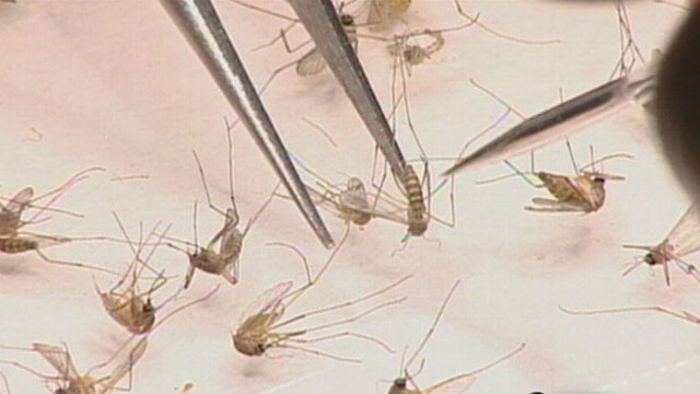 VIDEO: Hard hit Texas takes aggressive efforts to kill mosquitoes carrying the virus.