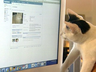 pet facebook