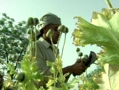 VIDEO: U.S. Troops: Drug Enforcement Agents?