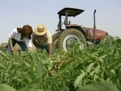 Farmers
