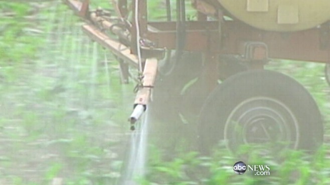 VIDEO: Study finds the risk of certain chemicals could have been underestimated.