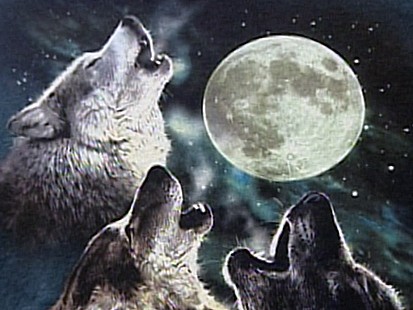 wolf howling at the moon t shirt