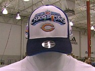 Bears Hat