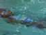 Too Black to Swim?