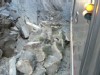 Video Sample