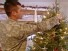 Trees for Troops