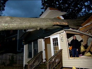 Watch: Danger of Falling Trees Lingers After the Storm
