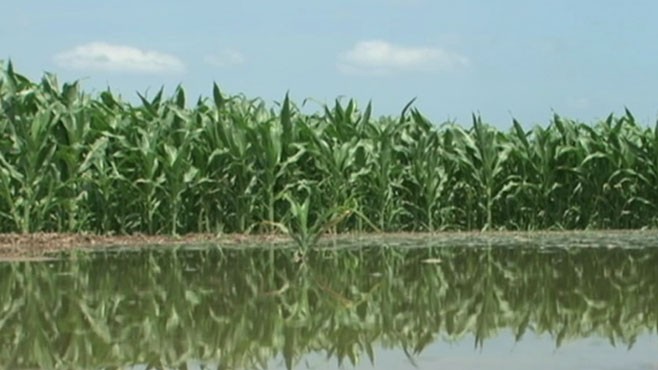 VIDEO: Mississippi Flooding