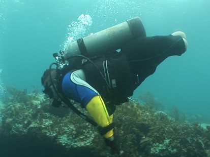 VIDEO: Scuba therapy for soldiers