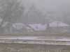 Video Sample