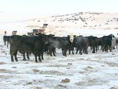VIDEO: Winter weather continues to freeze the U.S., in some cases causing death.