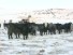 Deep Freeze Hits Two-Thirds of the Country