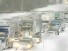 Blizzard Blinds‚ Blankets Buffalo