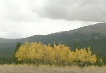 VIDEO: Aspen, Colo., Takes on Global Warming