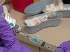VIDEO: Swine Flu Fears