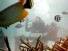 Nature’s Edge: Island Nations’ Plea