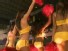Cricket Cheerleaders