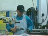 Video Sample