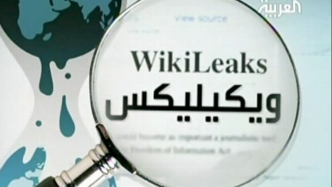VIDEO: Impact of Wikileaks Report Around the World