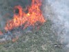 VIDEO: Firefighters battle high winds, dry air and snakes on the ground.