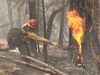 Watch: Firefighters Battle Wildfires in West