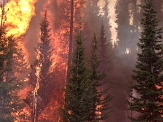 Watch: California Firestorm
