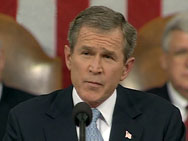 bush