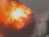 Suicide Bomber