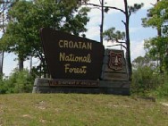 Naitonal Forest