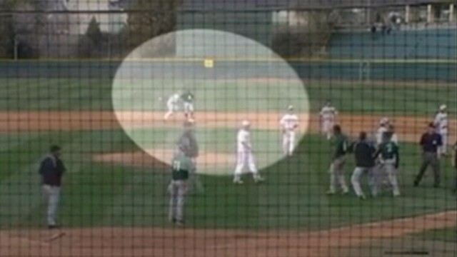 VIDEO: Left fielder was suspended for the season after punching rival teams player.