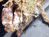 Crabs