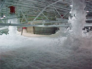 Foam