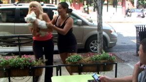Would You Protect a Strangers Dog?