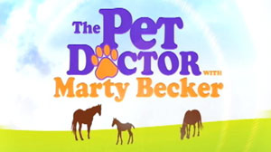 Pet Doctor with Marty Becker