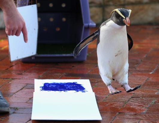 Today in Pictures: June 27, 2012