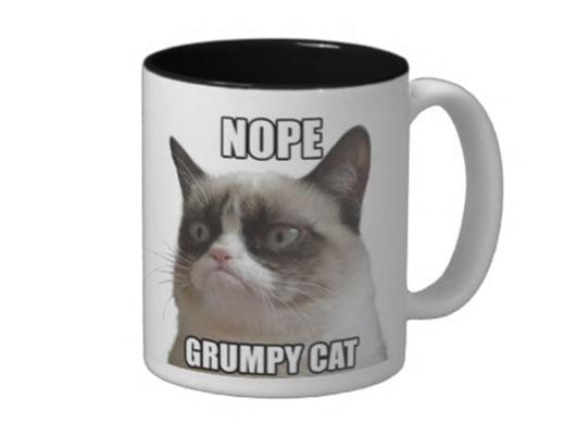 Grumpy Cat Merchandise Picture | Grumpy Cat Merchandise - ABC News