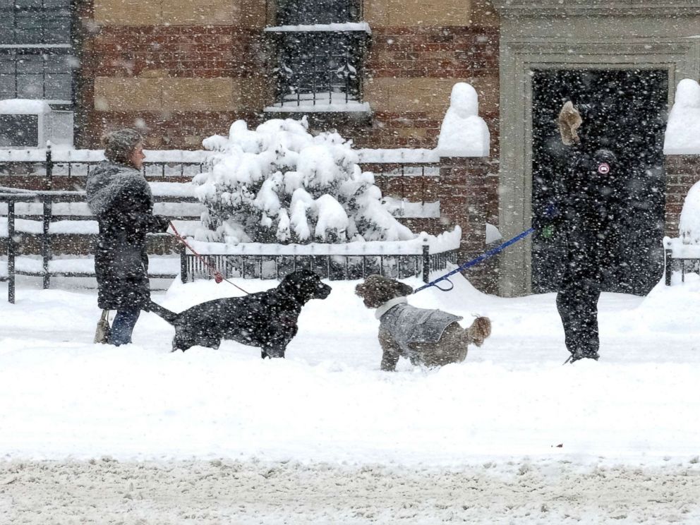 PHOTO: Dogs and their owners take a walk during a massive winter storm, Jan. 4, 2018, in New York City. 