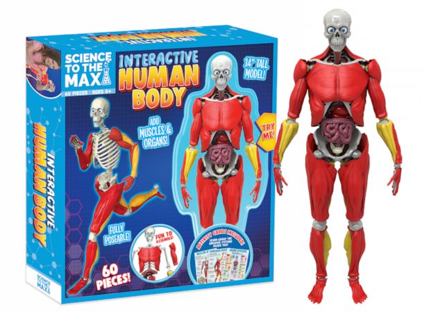 Be Amazing! Toys: Assorted Toys