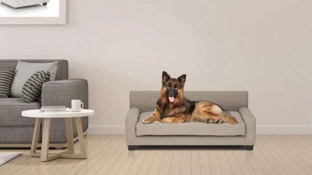 Club Nine Pets Large (40" W x 24" D x 16" H) Orthopedic Dog Sofa