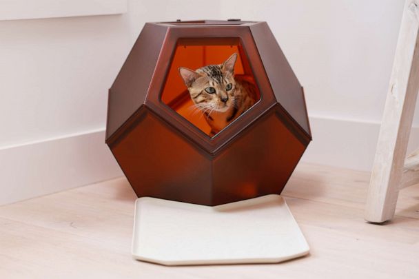 Pet Object: Litter Pods