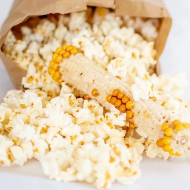 Poppin’ Cobs Popcorn: Popcorn Off The Cob