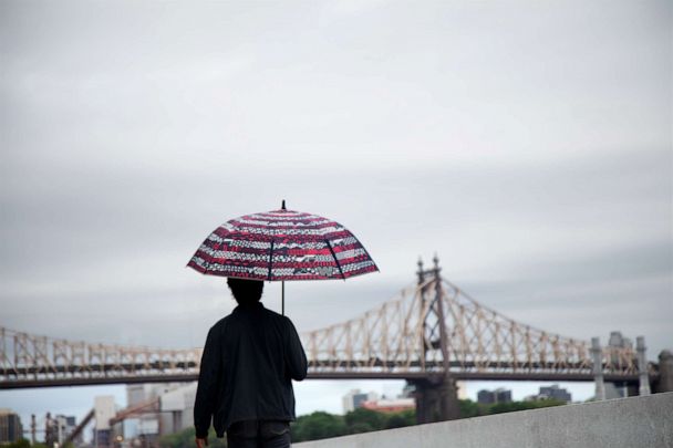 Weatherman Umbrellas: Umbrellas