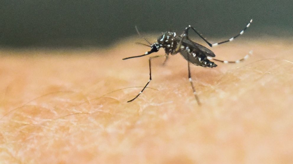 10 Additional Zika Cases Found in Florida Outbreak; Governor Activates Emergency Response
