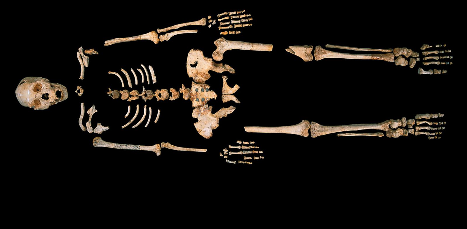 'Pit of Bones' Yields Oldest Known Human DNA - ABC News