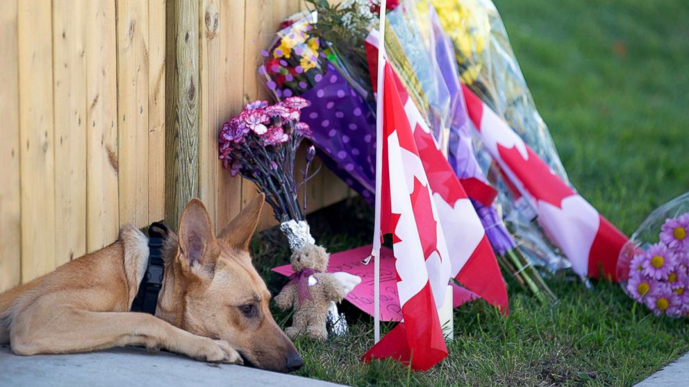 AP_nathan_cirillo_dog_04_jef_141023_16x9_992.jpg