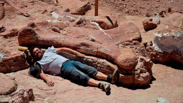 Fossils Discovered Of Largest Dino To Ever Walk The Earth Abc7 San