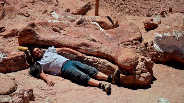 the first fossil ever found