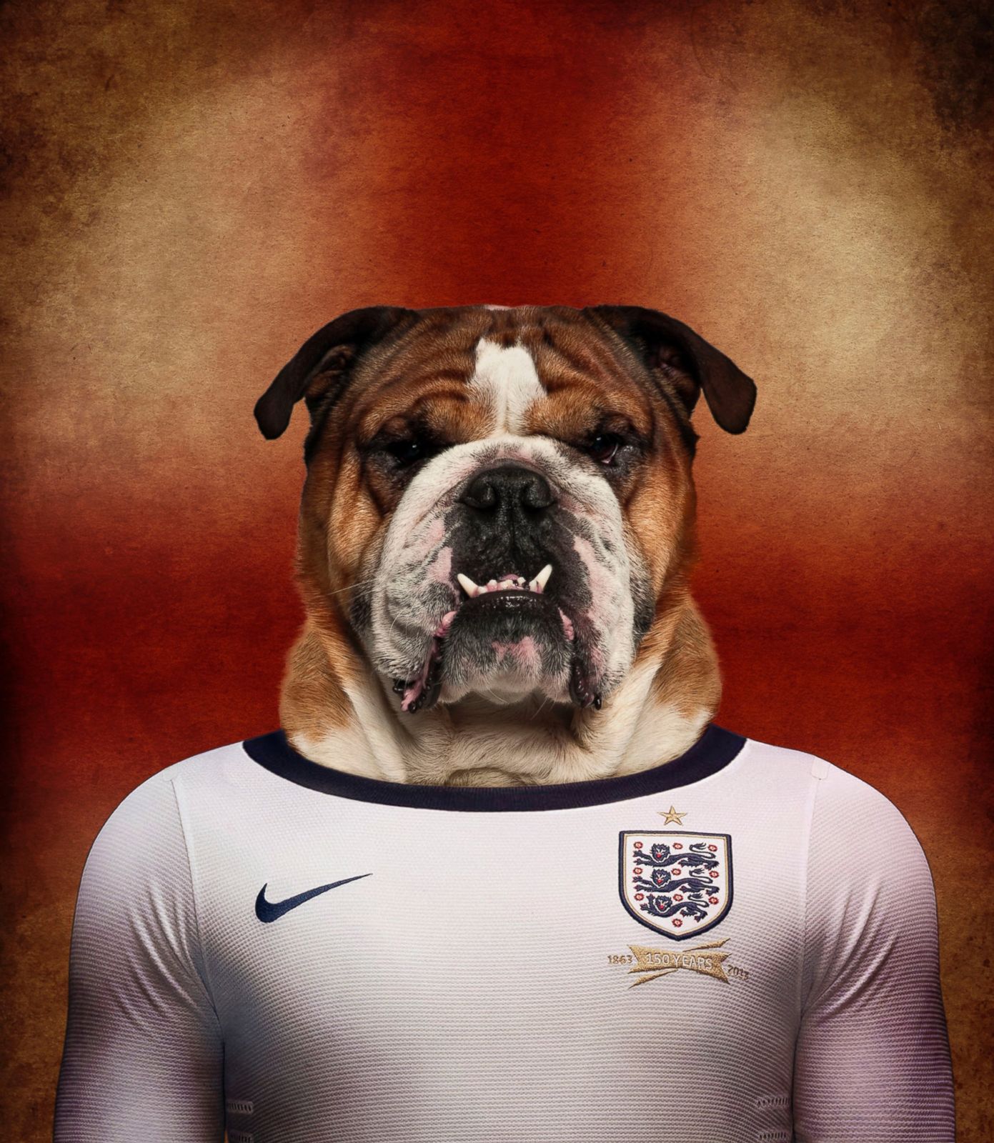 dog jerseys soccer