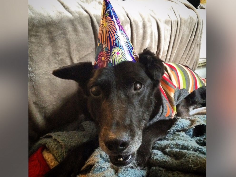 PHOTO: Blackie celebrates his first New Years inside a home.